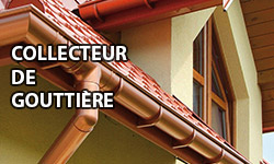 Collecteur de gouttière