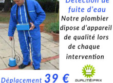 détection fuite d'eau Paris 15