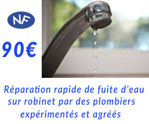 dépannage fuite robinet par plombier Paris 3