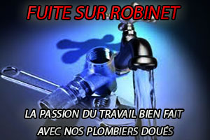 Réparation fuite robinet par le service dépannage robinetterie Paris 14