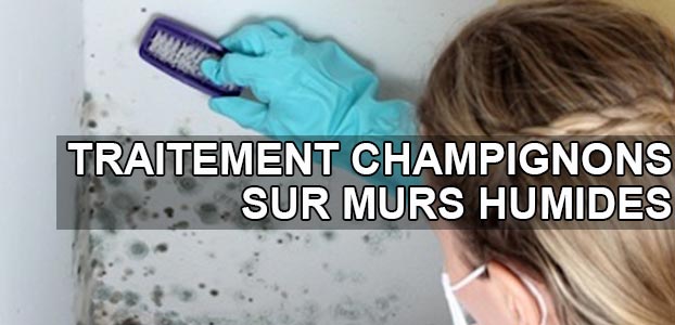 Traitement des champignons sur les murs humides